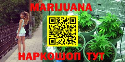 шишки Канаш