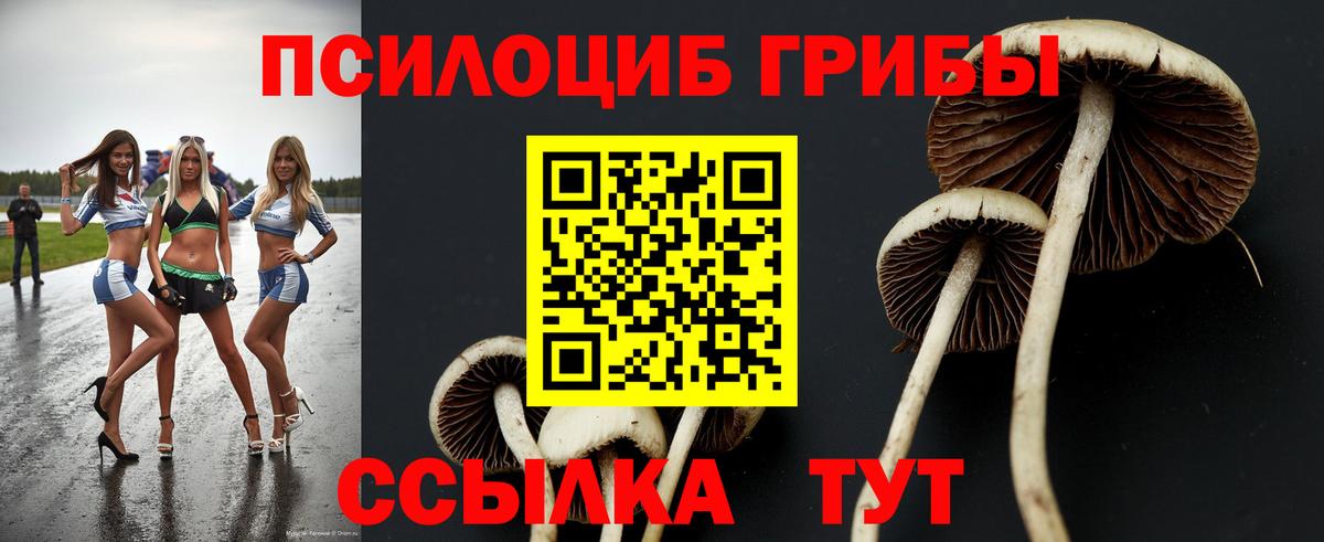 Коркино  Псилоцибиновые грибы Cubensis  Вход с VPN  Псилоцибиновые грибы прущие грибы 