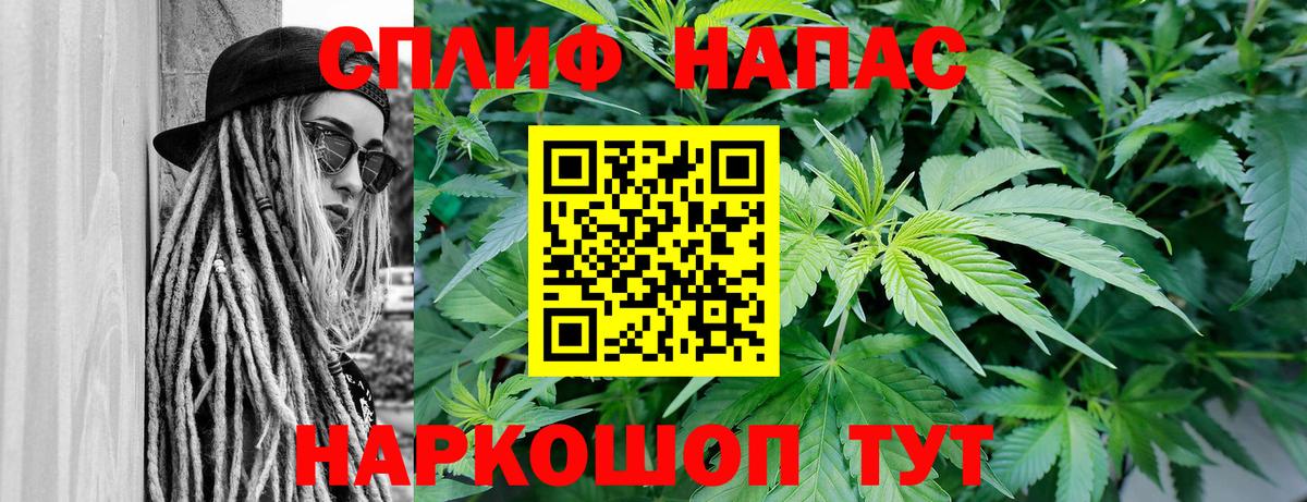 Бошки Шишки планчик Коркино
